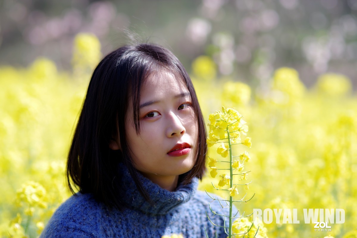 春意盎然