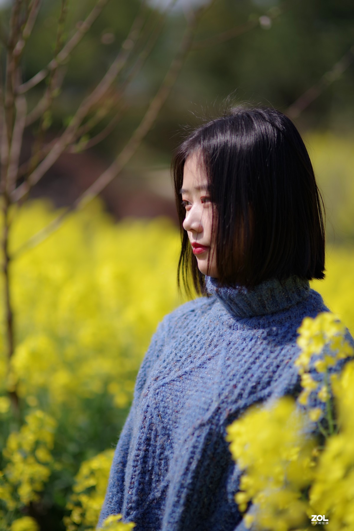 春意盎然