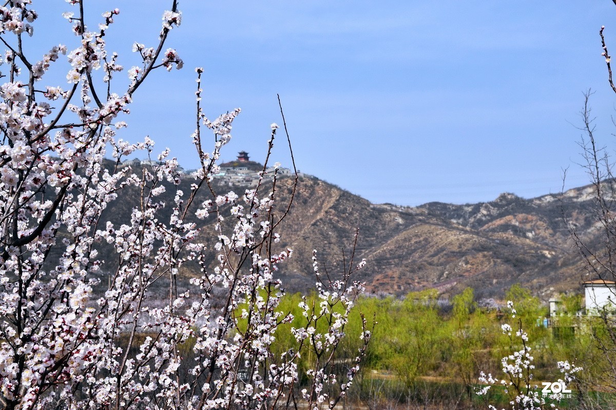 五峰山下春意浓！