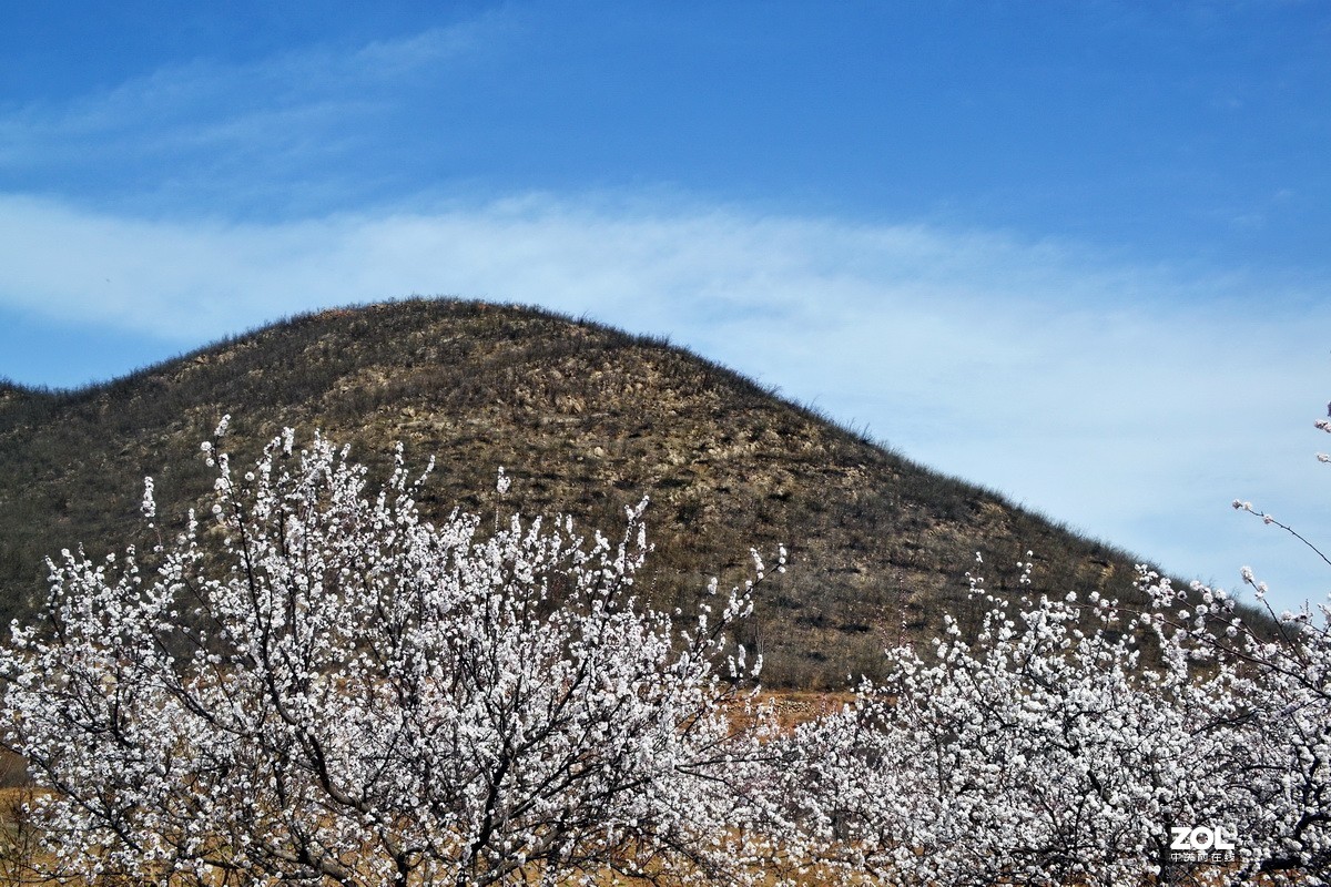五峰山下春意浓！