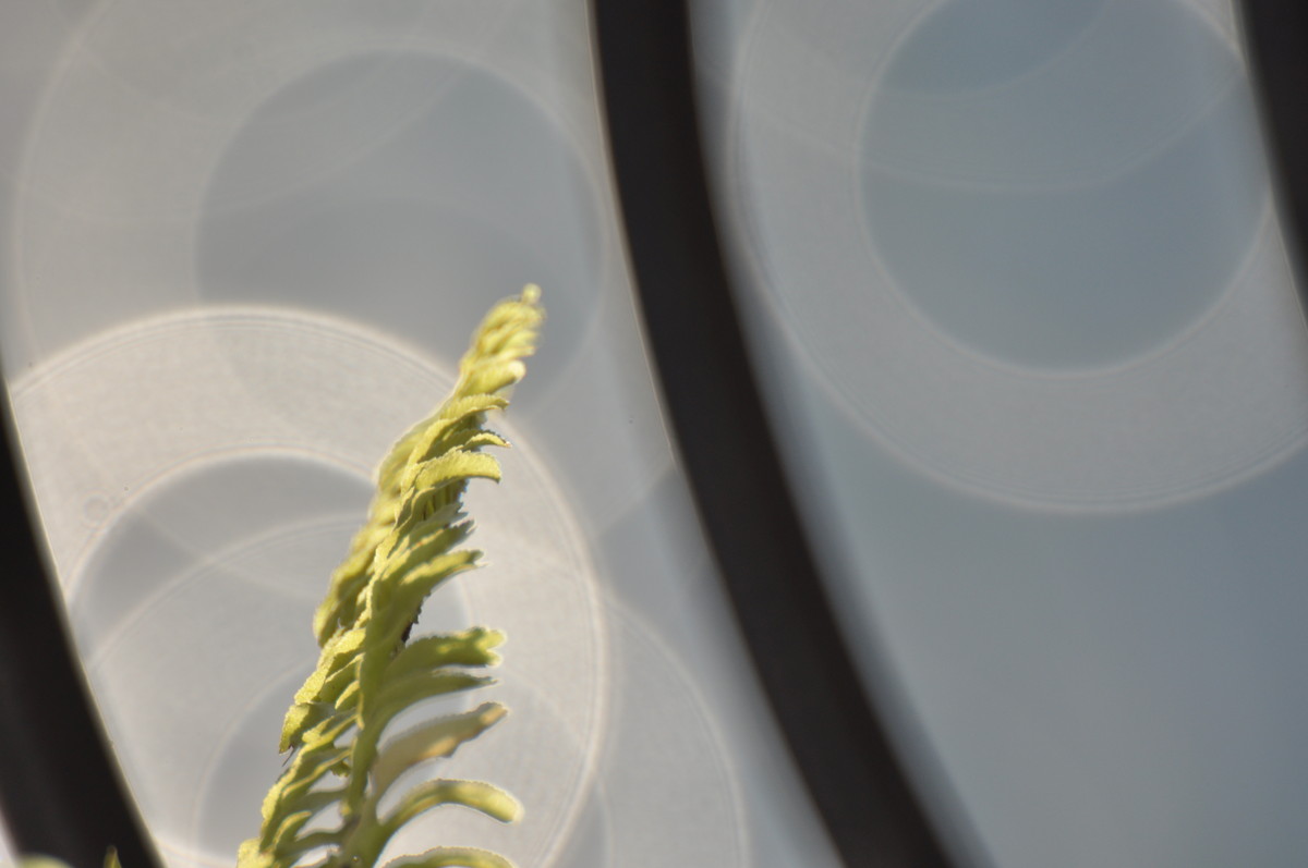 试用折返，威摄500mm/F5.6