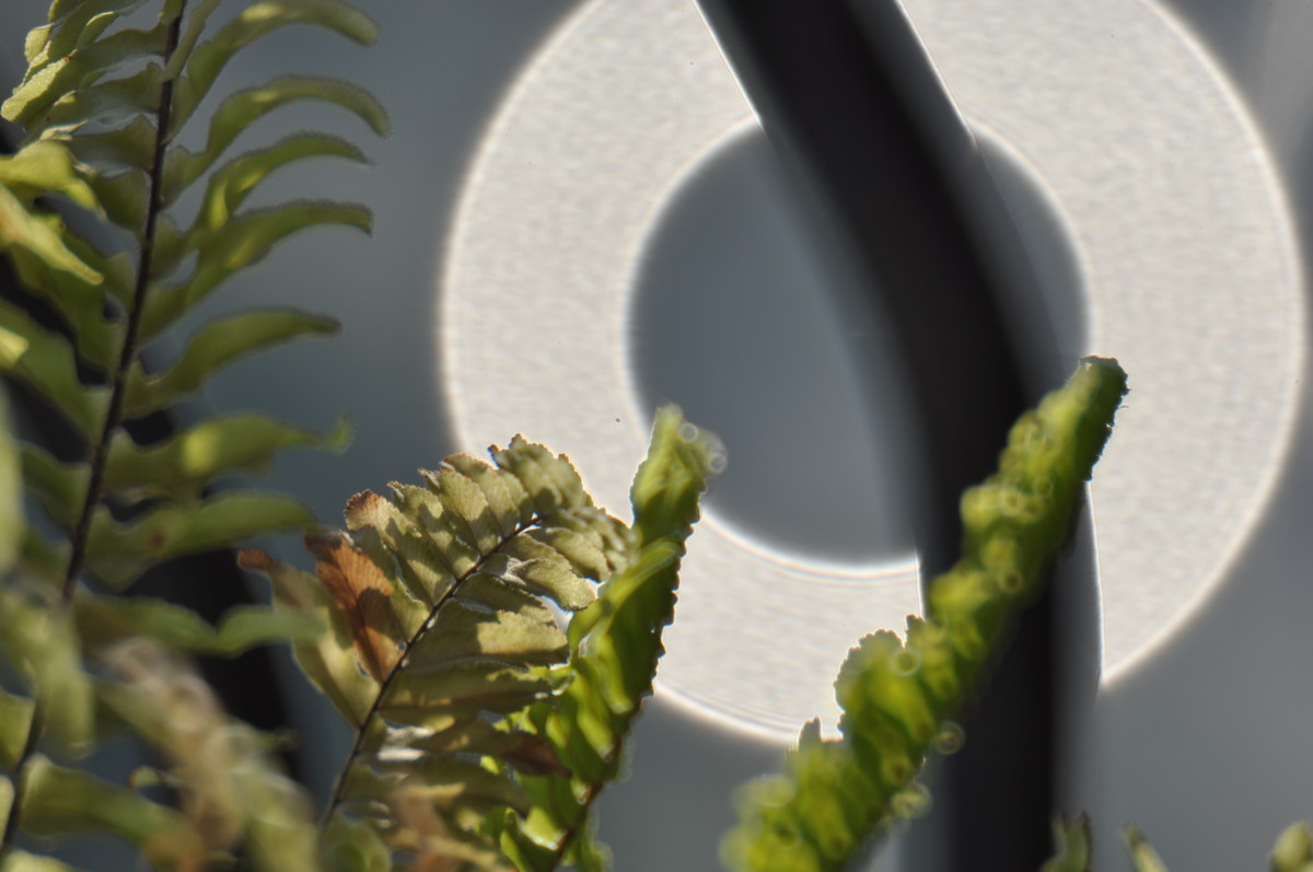 试用折返，威摄500mm/F5.6