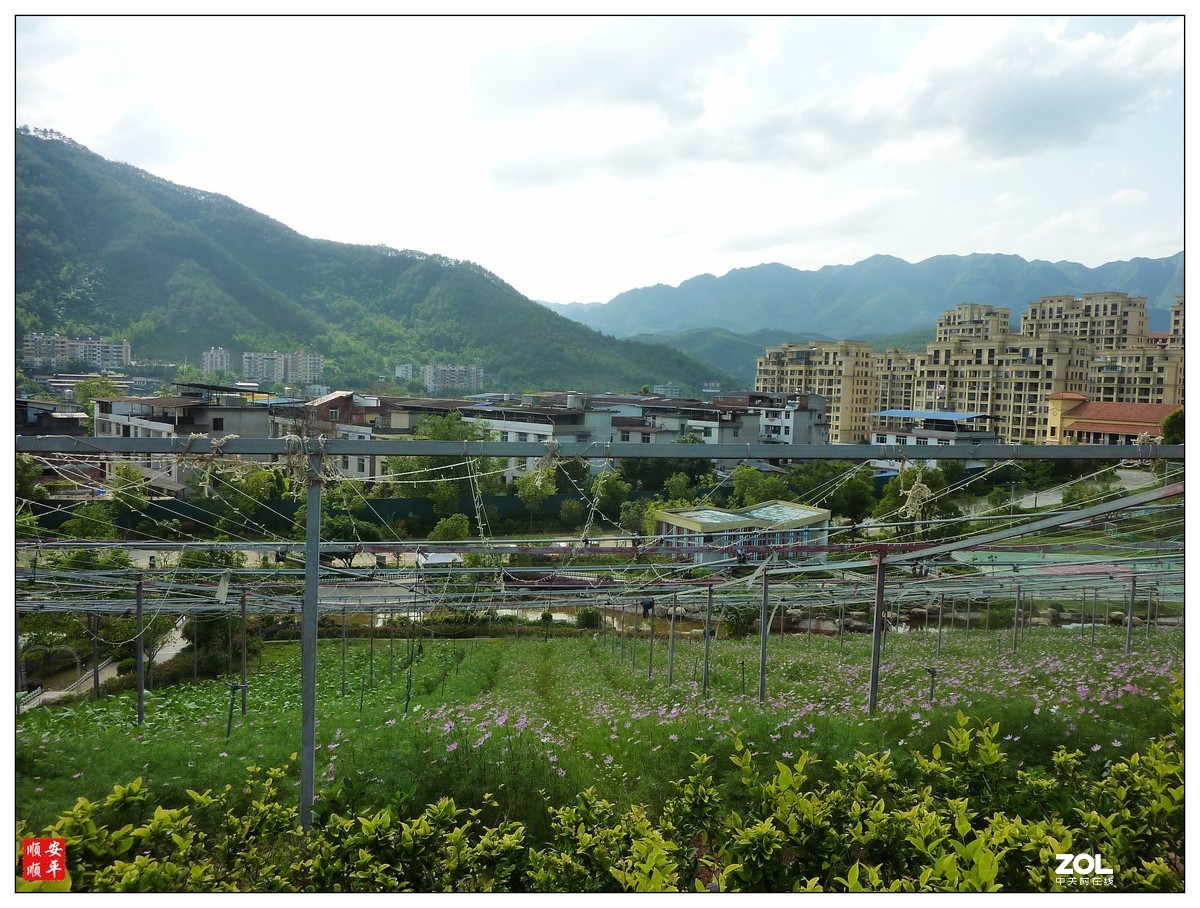 家乡的风景------福建南平延平祥生艺境花园(下)