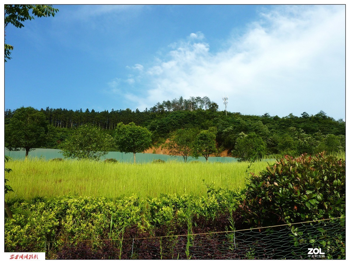 家乡的风景------福建南平延平祥生艺境花园(下)