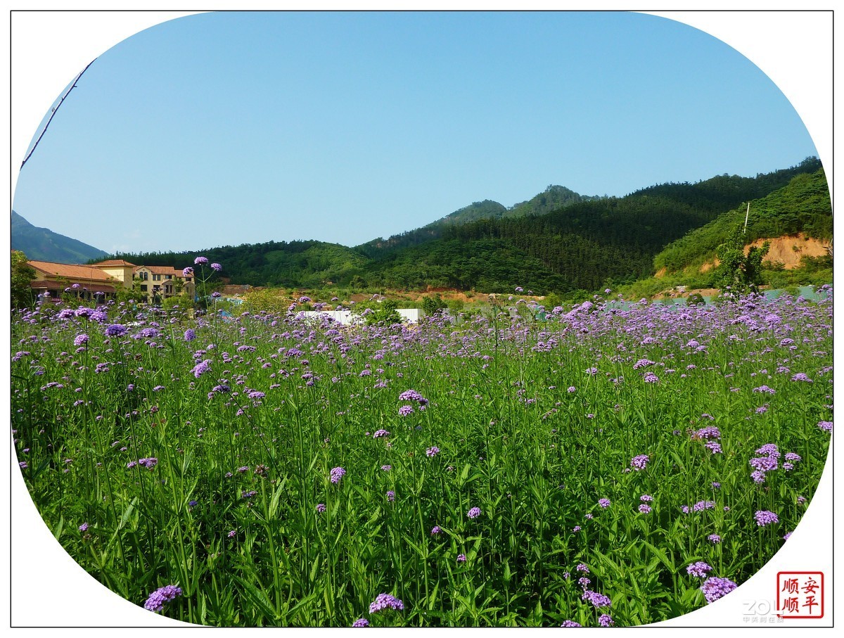 家乡的风景------福建南平延平祥生艺境花园(下)