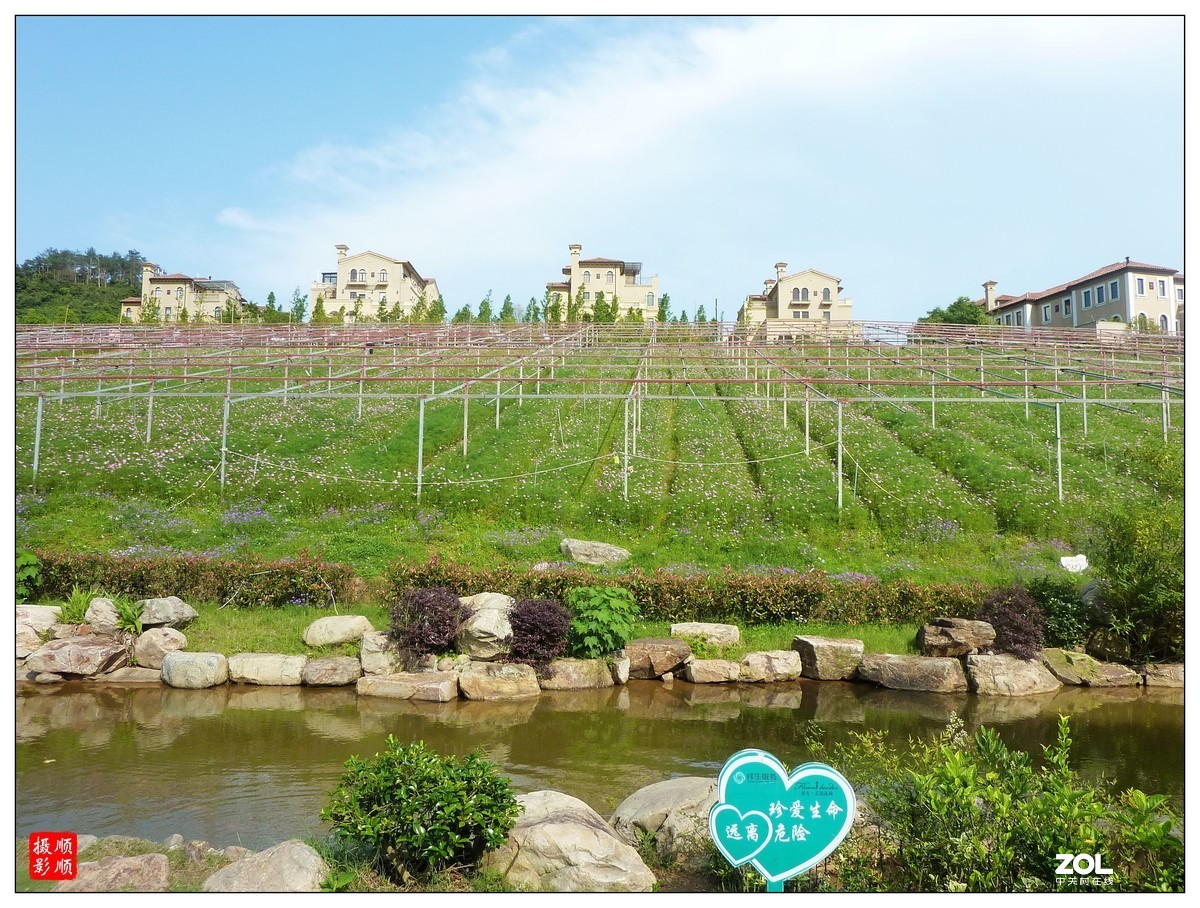 家乡的风景------福建南平延平祥生艺境花园(下)