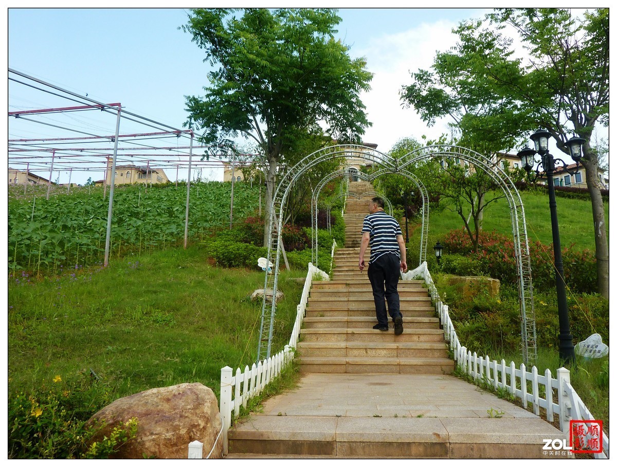 家乡的风景------福建南平延平祥生艺境花园(下)