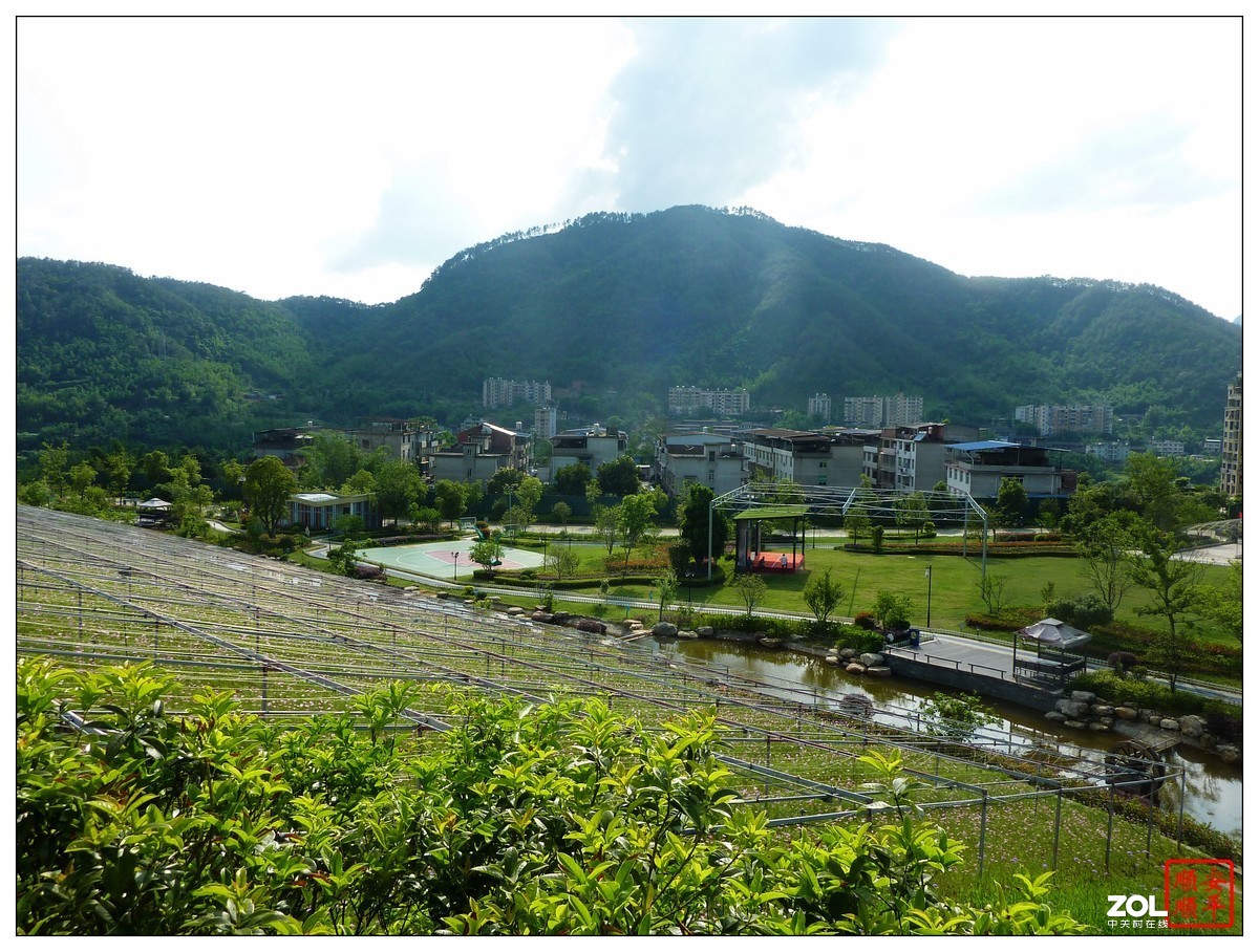 家乡的风景------福建南平延平祥生艺境花园(下)