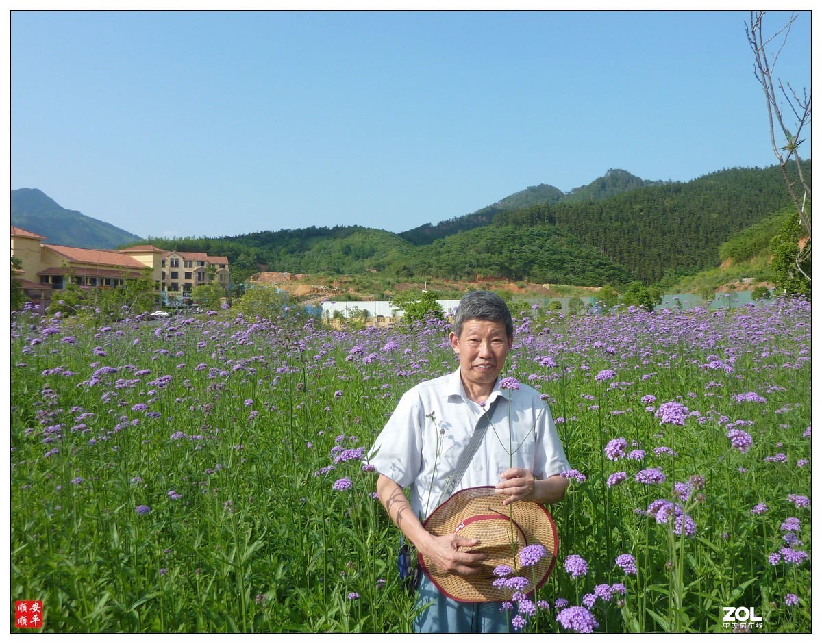 家乡的风景------福建南平延平祥生艺境花园(下)