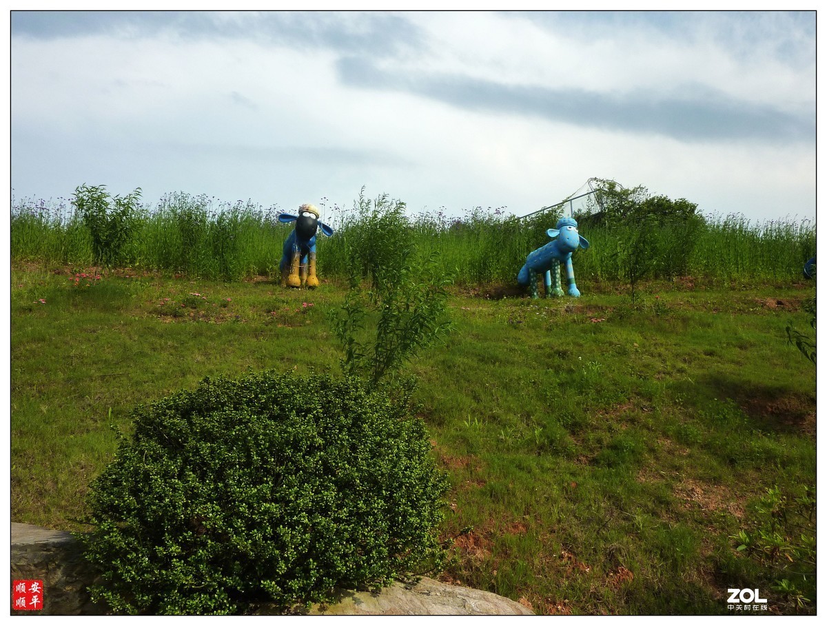 家乡的风景------福建南平延平祥生艺境花园(下)
