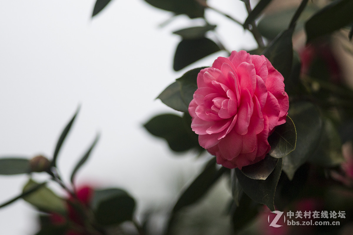 第一次试用手动头