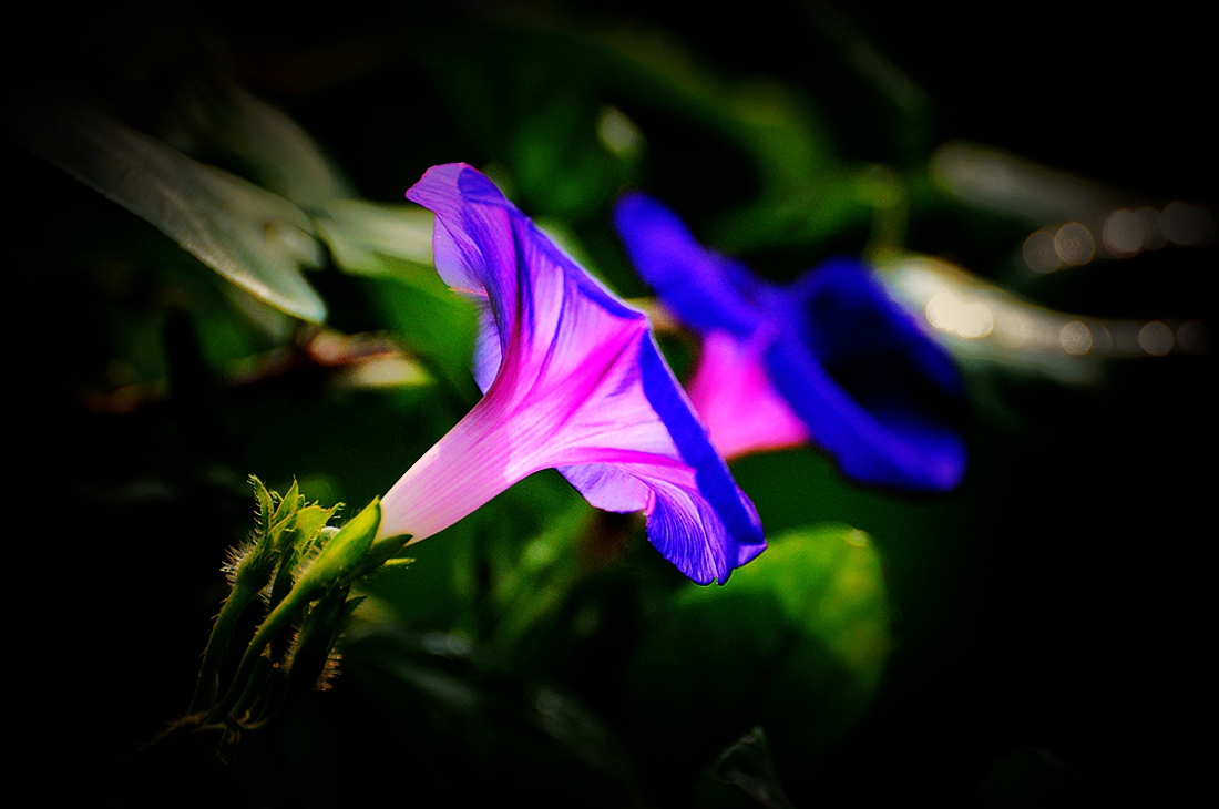 #2014摄影精彩回顾#——我的成长之路