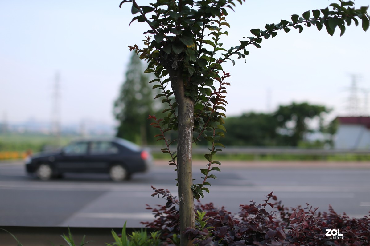 韵味足 EF50L随拍小景