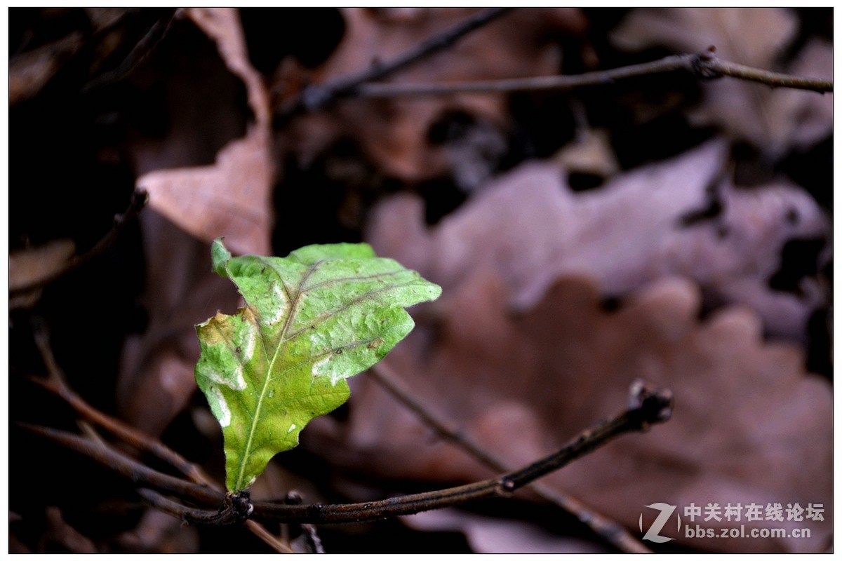 #尼康行摄之旅#     大散关遗址（中、20P），敬请指导！