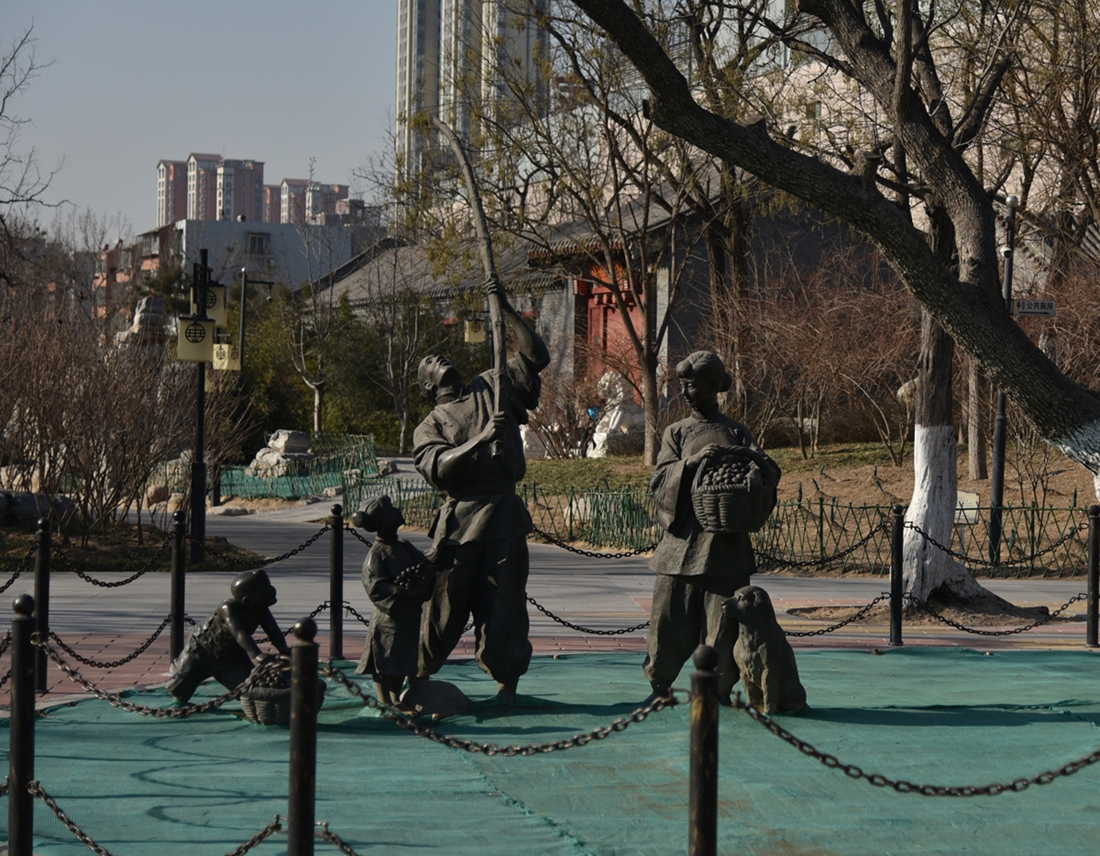 公园随拍，希望师傅们批评指正！谢谢了！