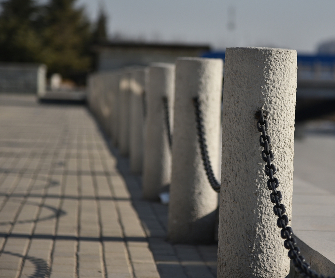 公园随拍，希望师傅们批评指正！谢谢了！