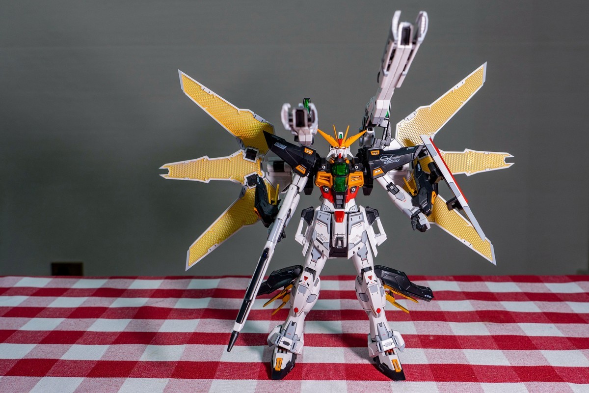 a7Rm4+FE 24-105mm F4.0 G OSS ( 生日礼物 )