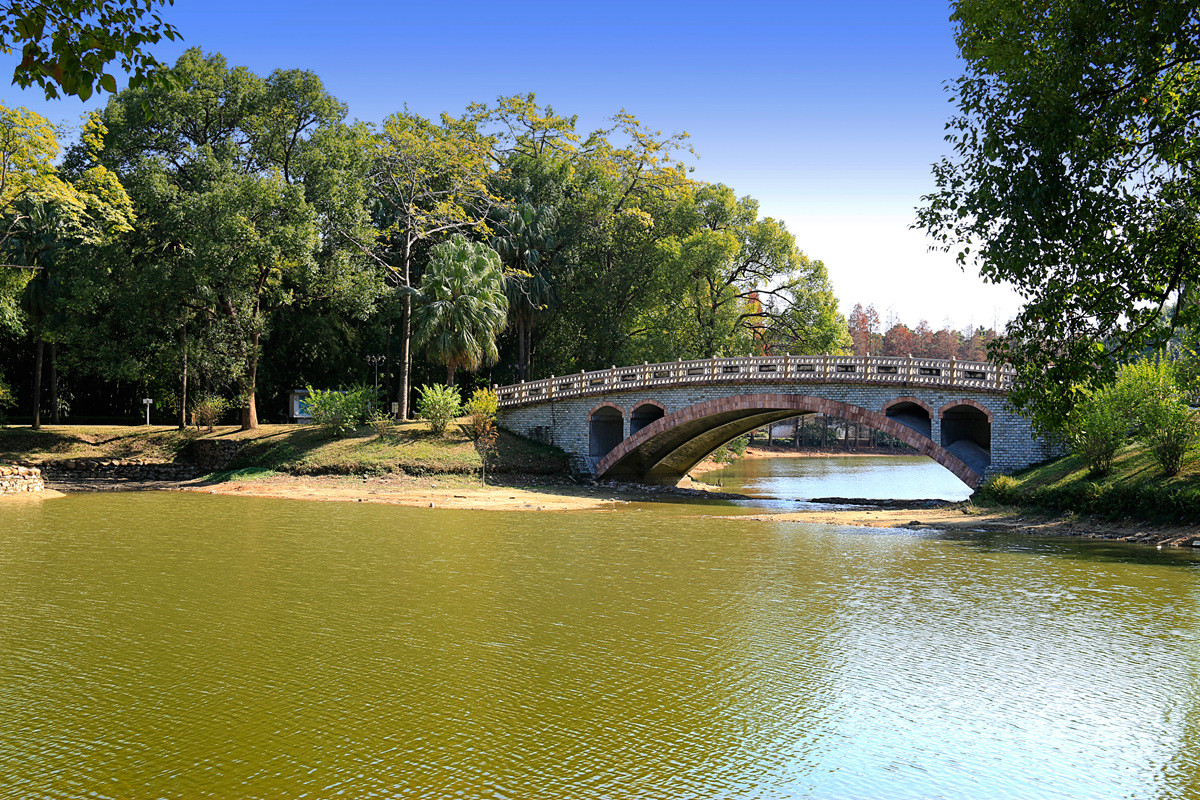 华南植物园冬景