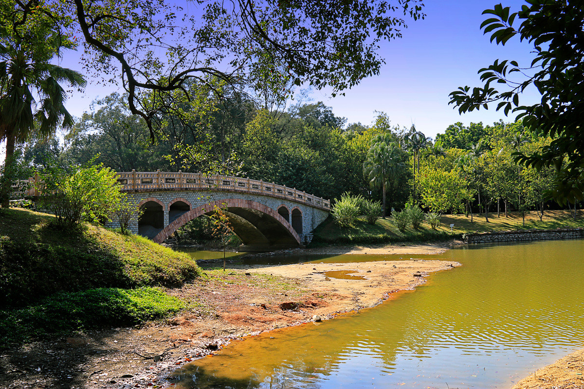 华南植物园冬景