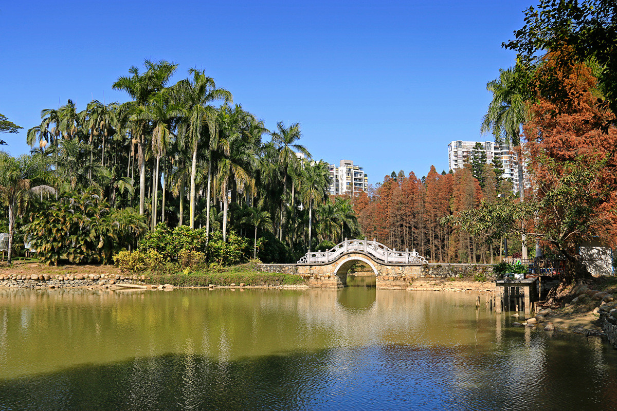 华南植物园冬景