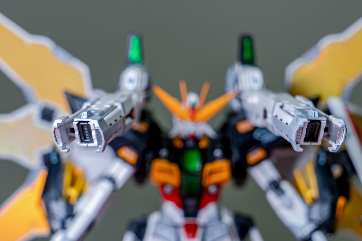 a7Rm4+FE 24-105mm F4.0 G OSS ( 生日礼物 )