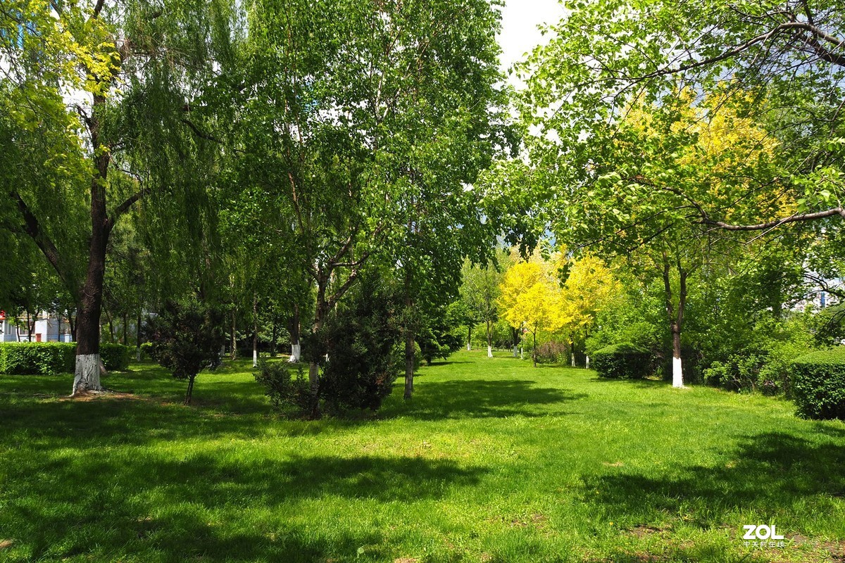 公园小景——山雨欲来（三）
