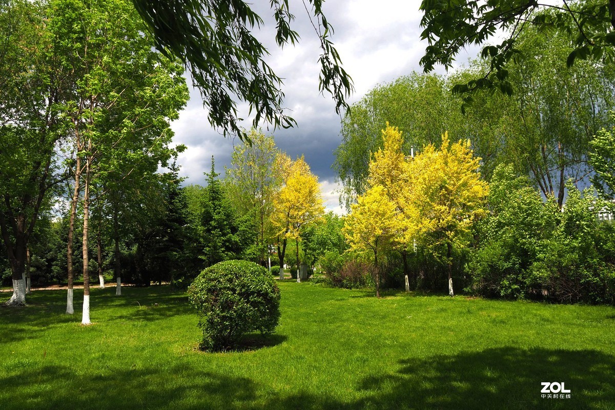公园小景——山雨欲来（三）