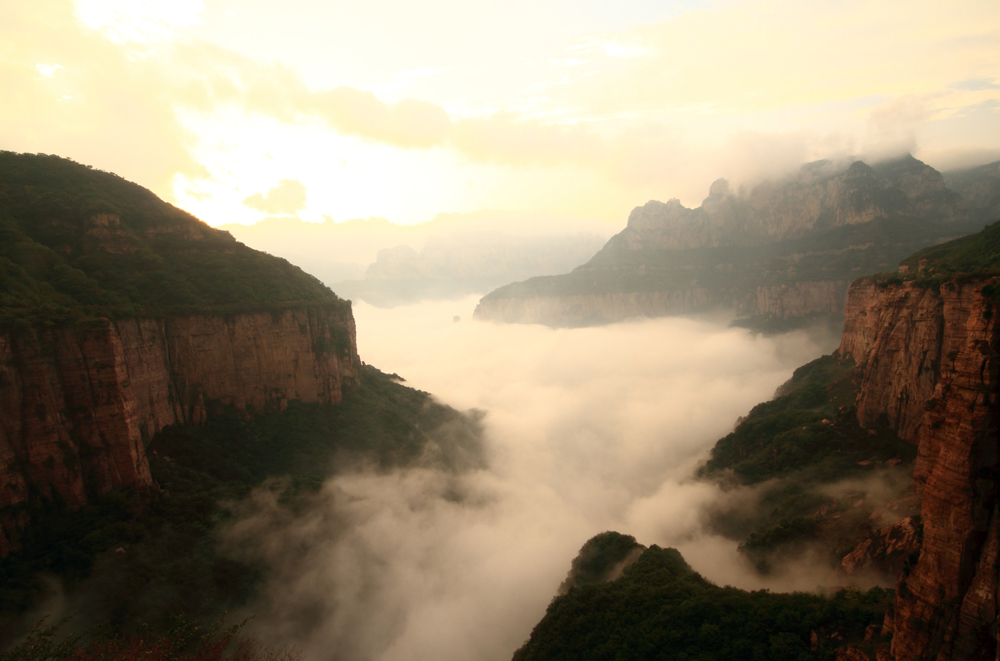 #回顾2014#海洋拍的摄影作品