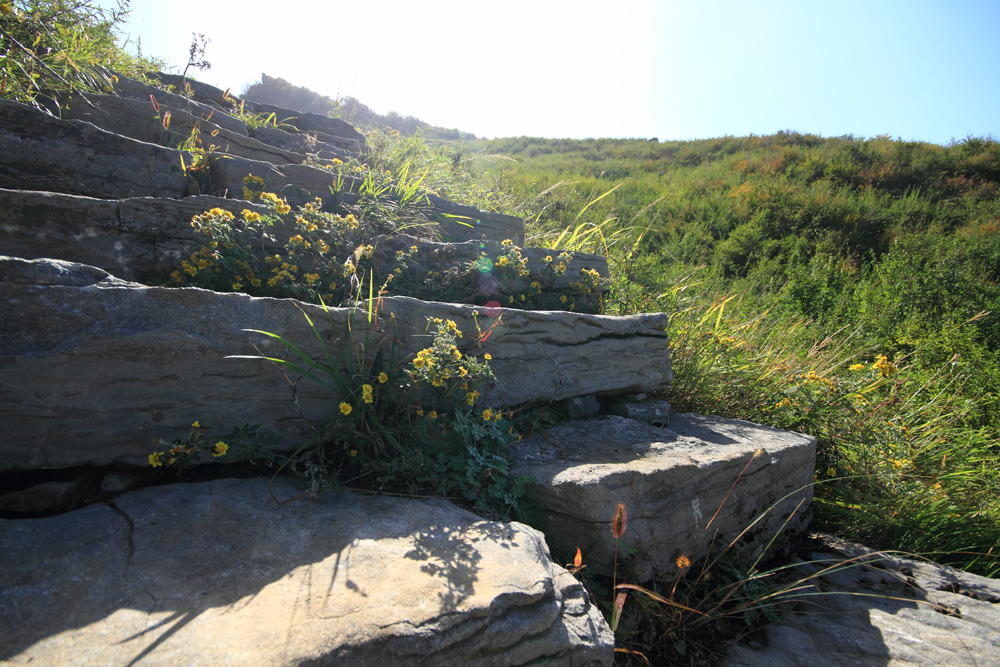 #回顾2014#海洋拍的摄影作品