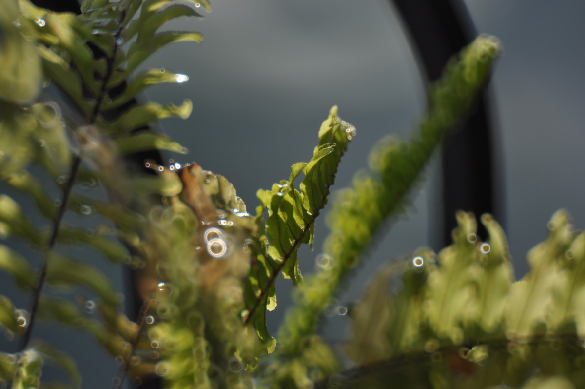 试用折返，威摄500mm/F5.6