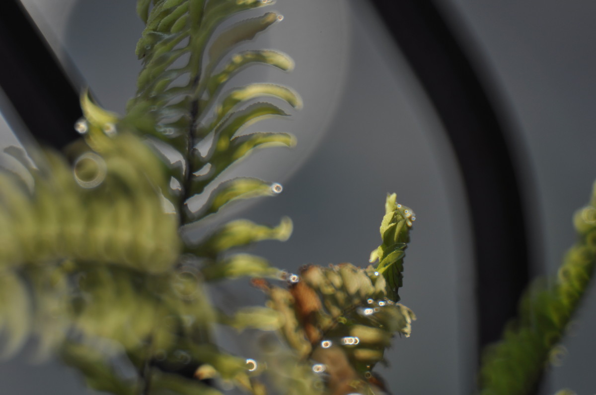 试用折返，威摄500mm/F5.6