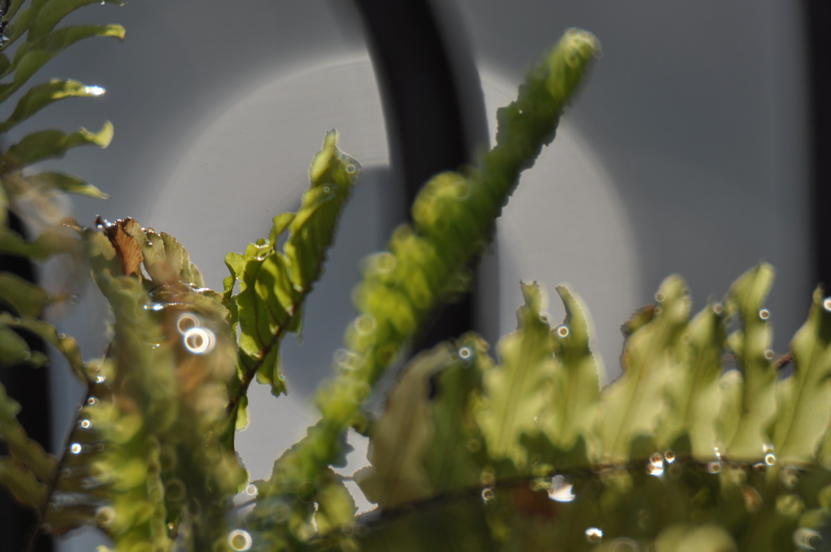 试用折返，威摄500mm/F5.6