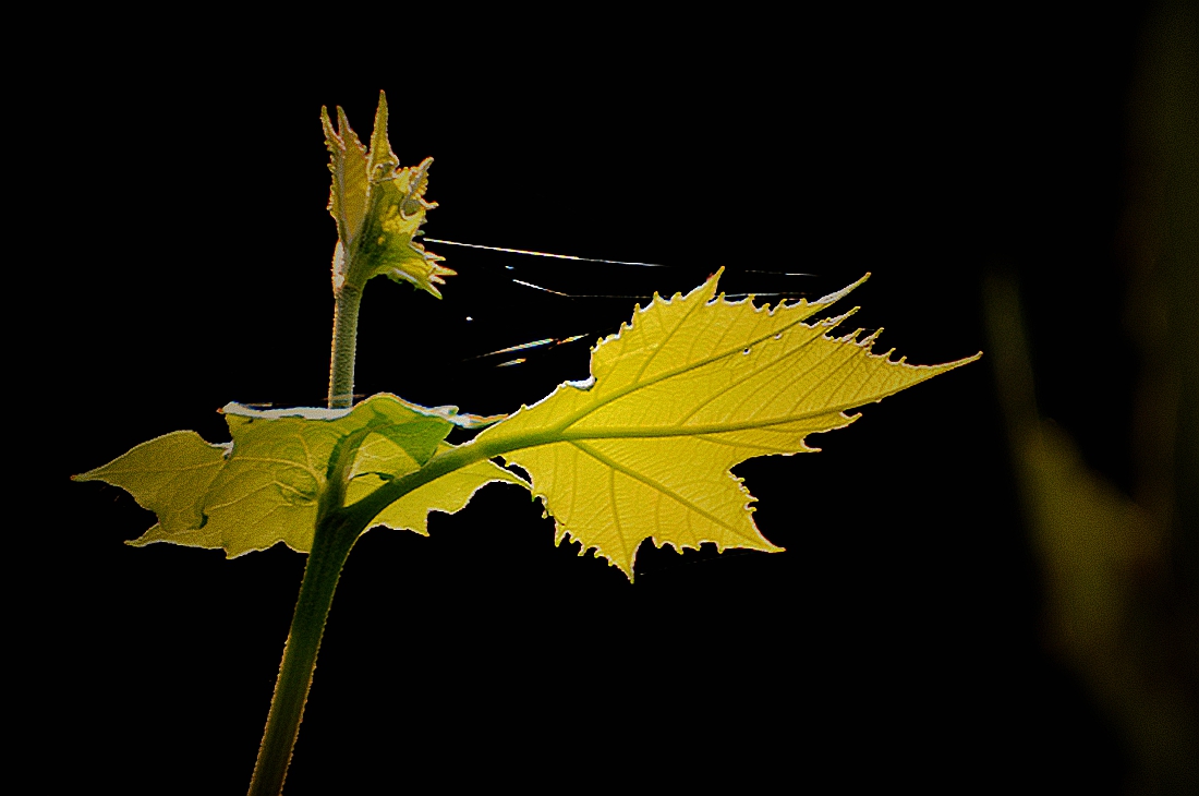 #2014摄影精彩回顾#——我的成长之路