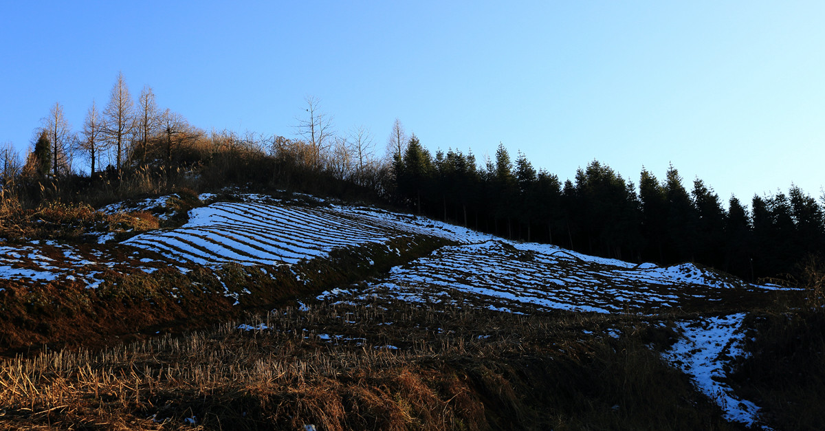 江南滑雪，时机未到
