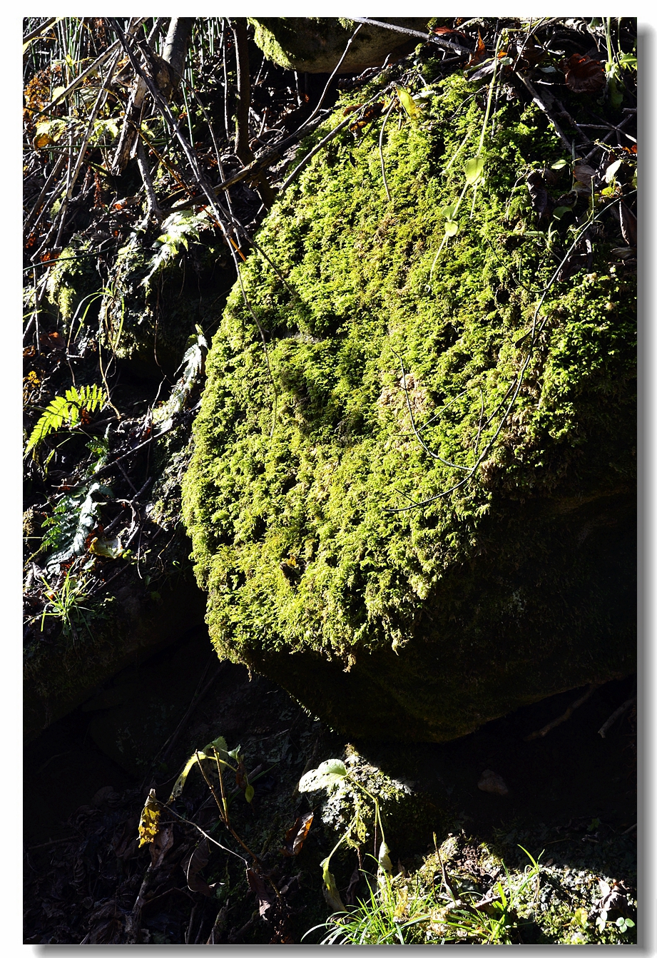 秋日的宝鸡鸡峰山（上，18P），敬请指导！