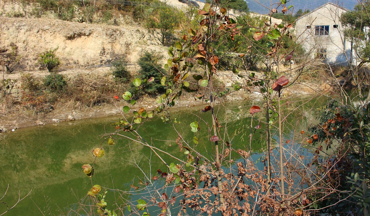拍了几十张,没两张满意的.天气晴好,但远处还是灰灰的.