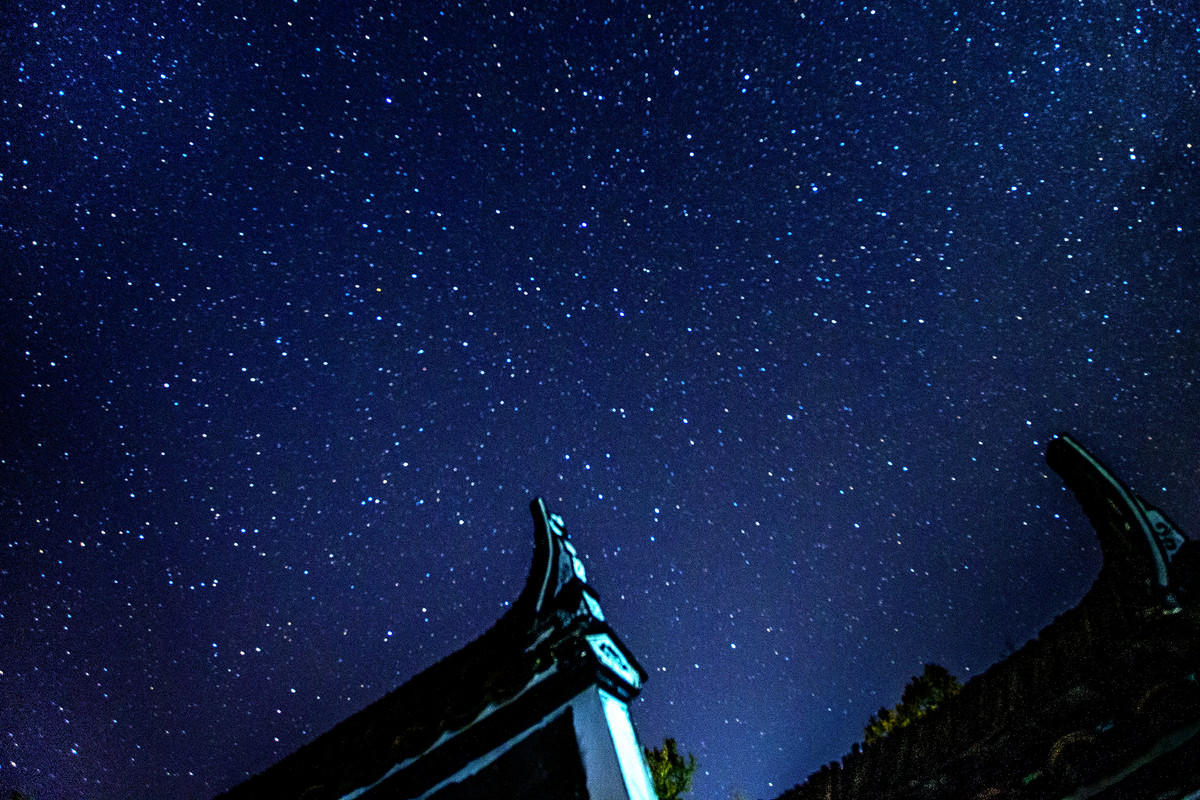 星光璀璨-中关村在线摄影论坛