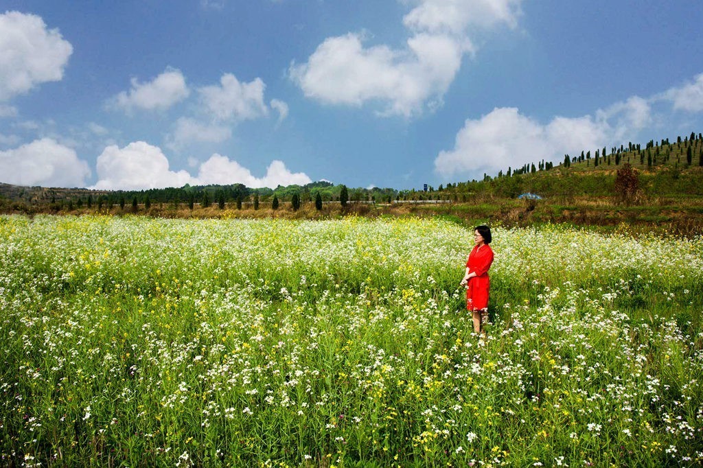 被风吹过的夏天