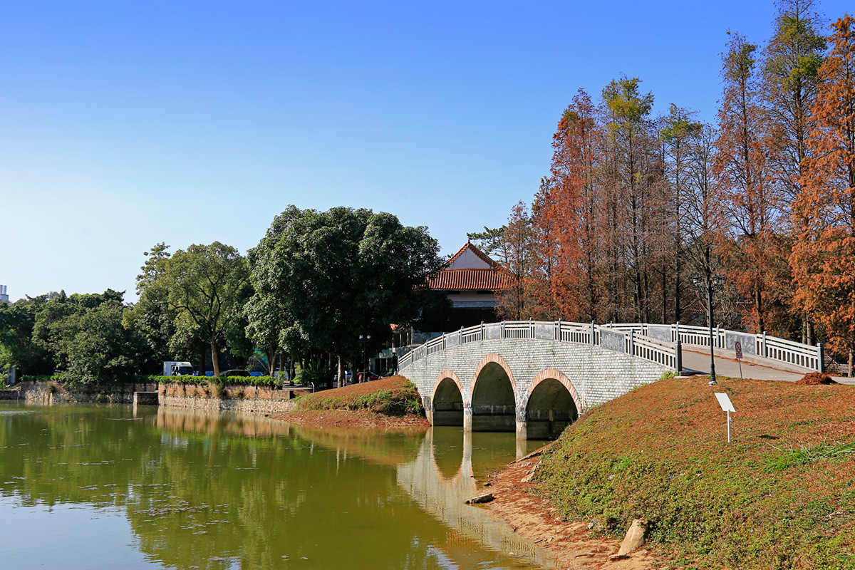 华南植物园冬景