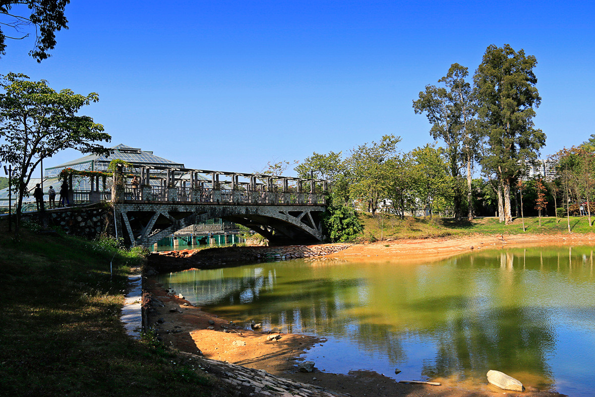 华南植物园冬景