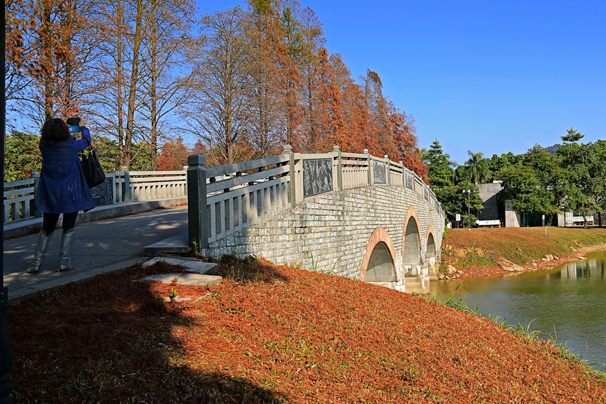 华南植物园冬景