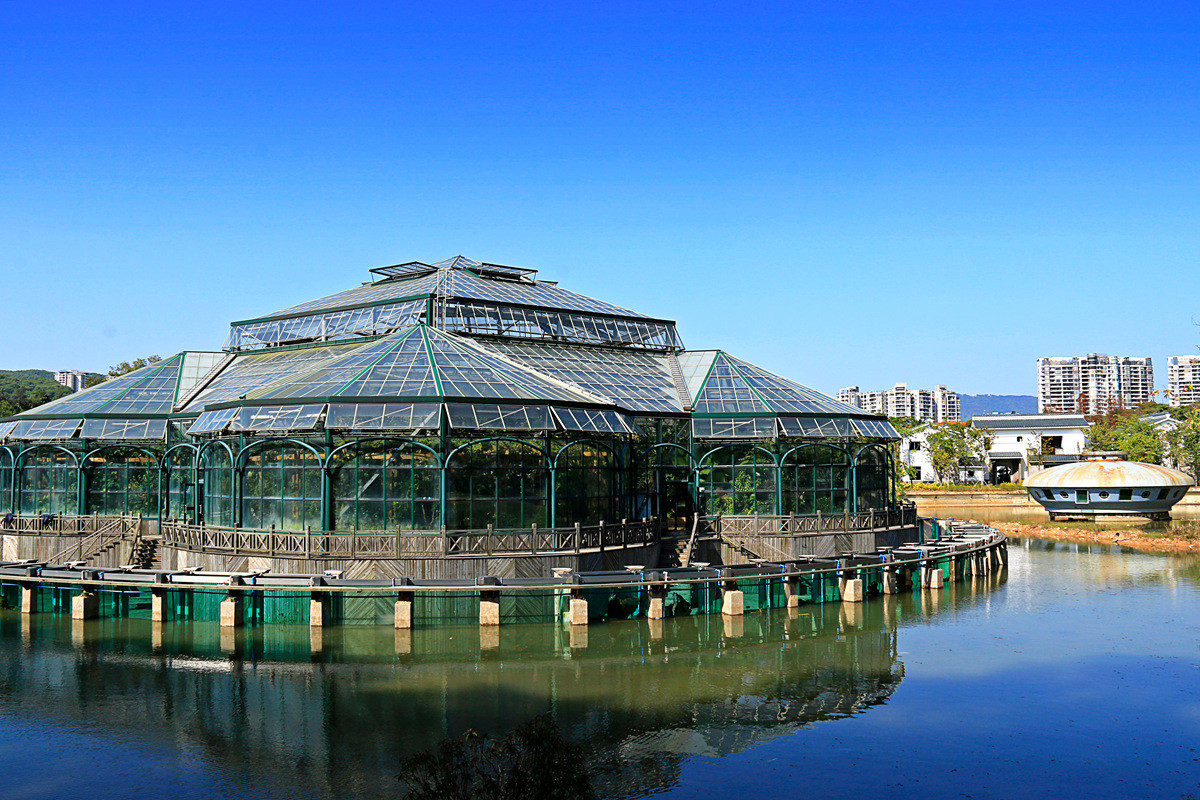 华南植物园冬景