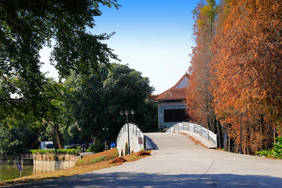 华南植物园冬景