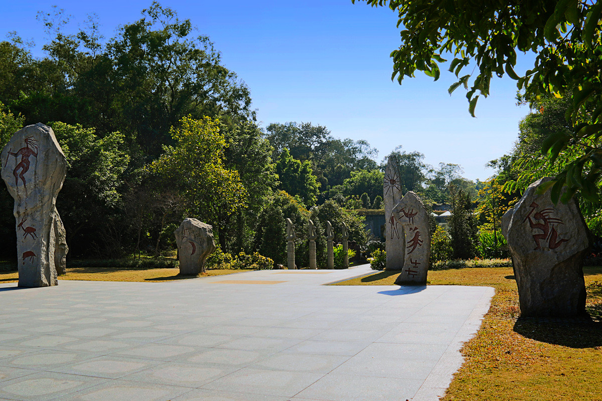 华南植物园冬景