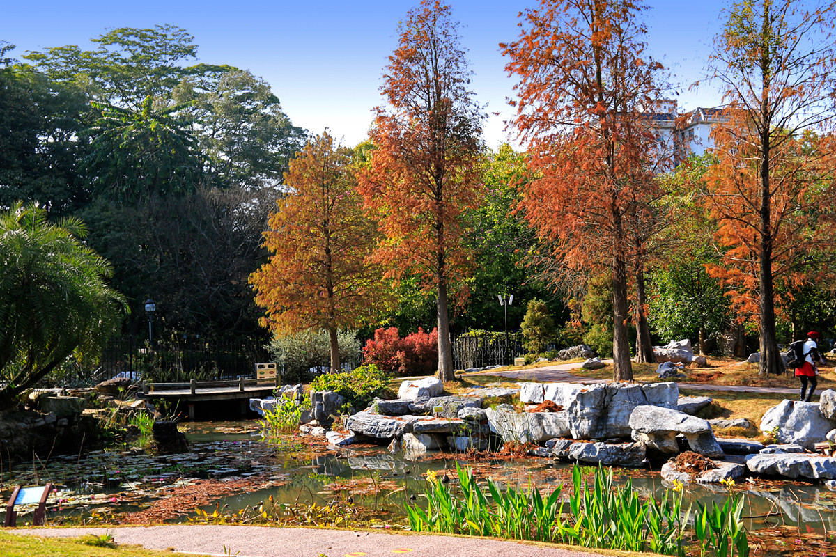 华南植物园冬景