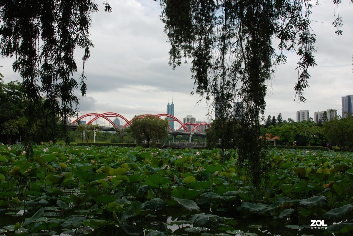 深圳洪湖公園