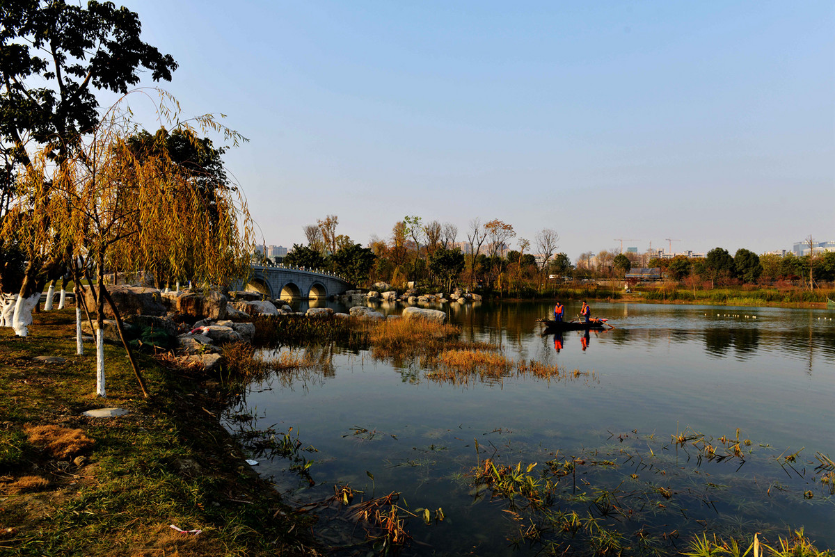 冬日锦城湖 4