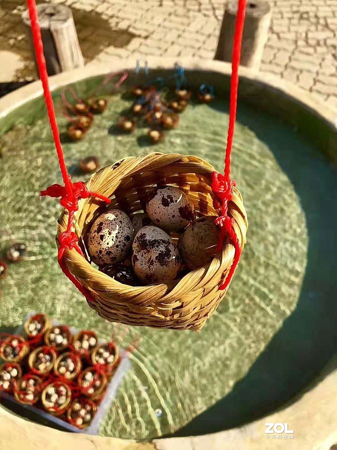 《异国风情》手机拍：清莱温泉出水口温度高达98度！