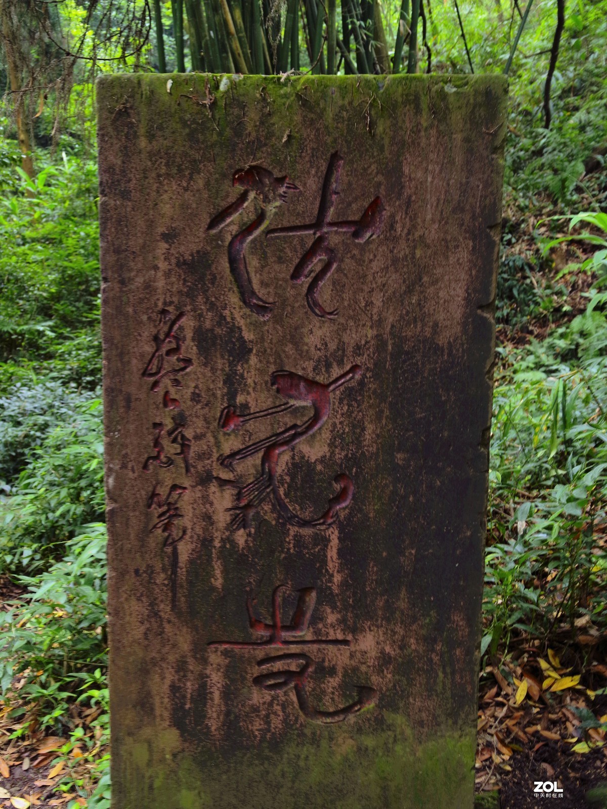 四川---峨眉山--伏虎寺