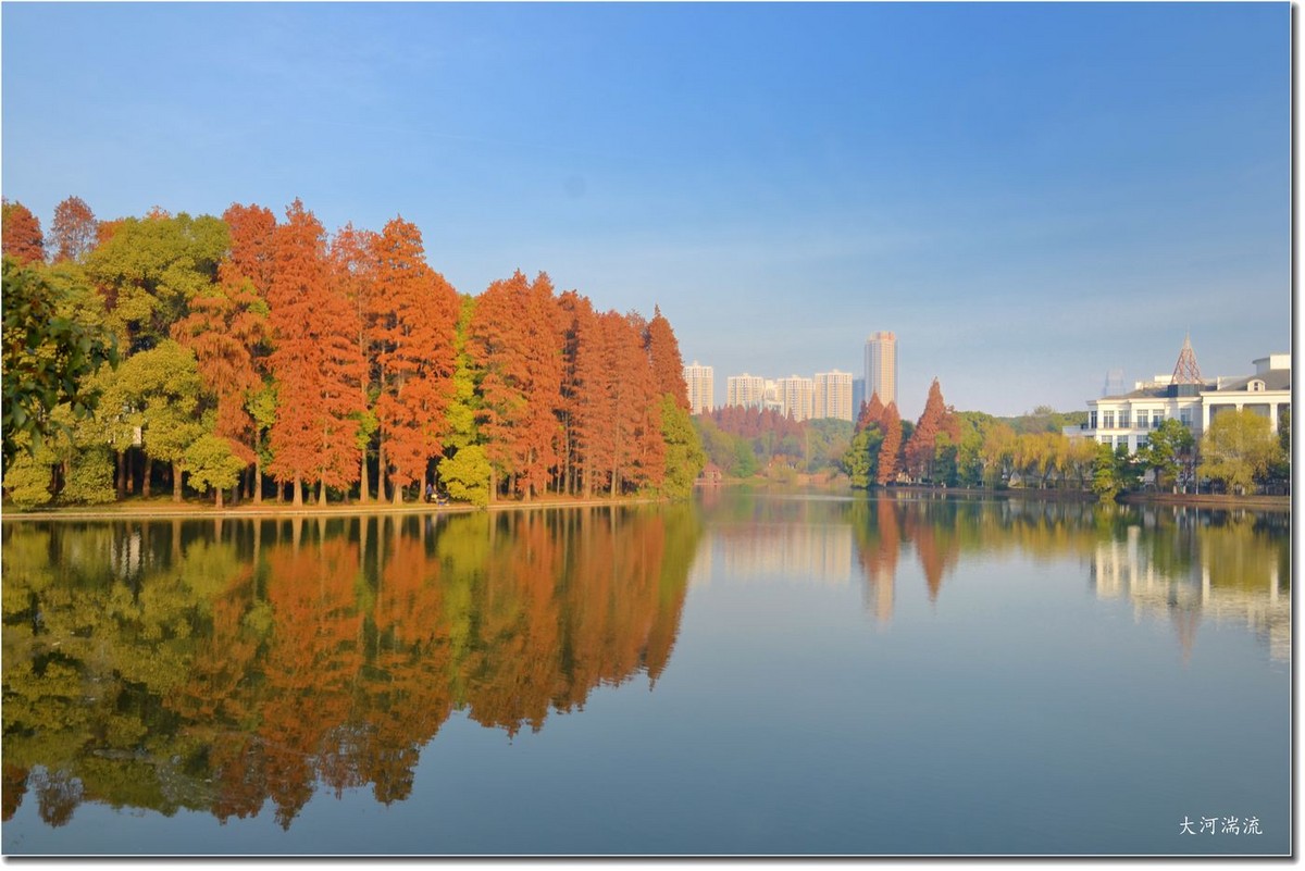 湖畔美景